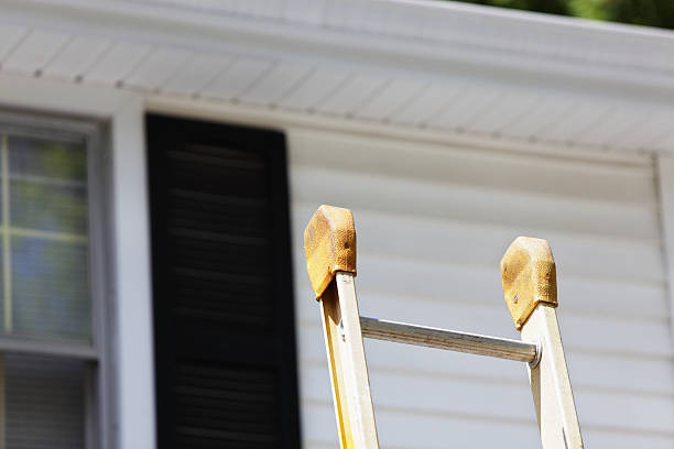 Best Hoarding Cleanup  in Kendallville, IN