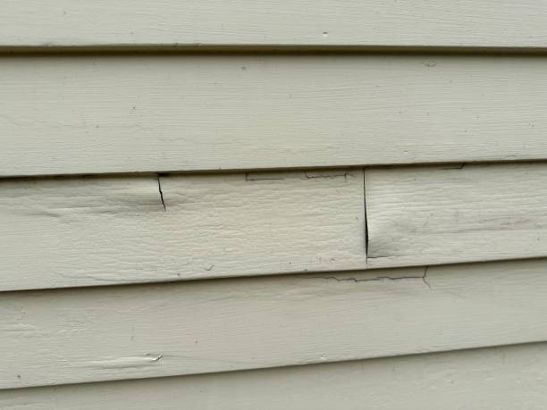 Best Shed Removal  in Kendallville, IN